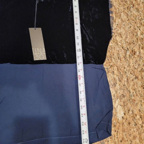 NWT Anthropologie Tina Jo Silk Bend Velvet Blouse - Picture 8 of 11